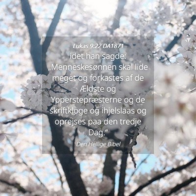 Picture 04 - Lukas 9:22 DA1871 - idet han sagde: „Menneskesønnen skal lide - Bible Verse Picture