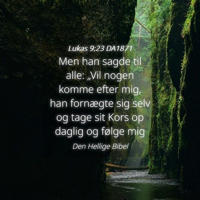 Picture 04 - Lukas 9:23 DA1871 - Men han sagde til alle: „Vil nogen komme efter - Bible Verse Picture