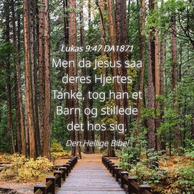 Picture 04 - Lukas 9:47 DA1871 - Men da Jesus saa deres Hjertes Tanke, tog han et - Bible Verse Picture