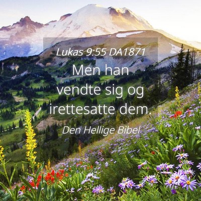 Picture 04 - Lukas 9:55 DA1871 - Men han vendte sig og irettesatte - Bible Verse Picture