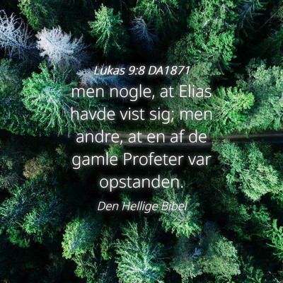 Picture 04 - Lukas 9:8 DA1871 - men nogle, at Elias havde vist sig; men andre, at - Bible Verse Picture