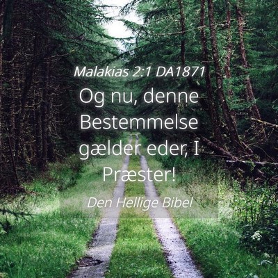 Picture 04 - Malakias 2:1 DA1871 - Og nu, denne Bestemmelse gælder eder, I - Bible Verse Picture