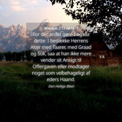 Picture 04 - Malakias 2:13 DA1871 - For det andet gøre I ogsaa dette: I bedække - Bible Verse Picture
