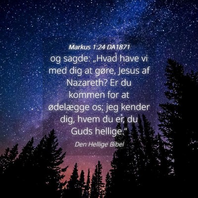 Picture 04 - Markus 1:24 DA1871 - og sagde: „Hvad have vi med dig at gøre, Jesus - Bible Verse Picture