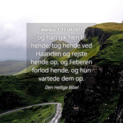 Picture 04 - Markus 1:31 DA1871 - og han gik hen til hende, tog hende ved Haanden - Bible Verse Picture