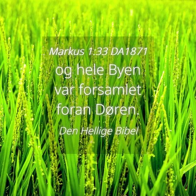 Picture 04 - Markus 1:33 DA1871 - og hele Byen var forsamlet foran - Bible Verse Picture