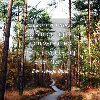 Picture 04 - Markus 1:36 DA1871 - Og Simon og de, som vare med ham, skyndte sig - Bible Verse Picture