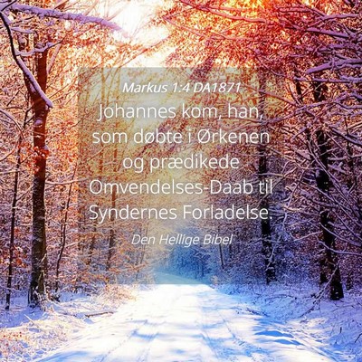 Picture 04 - Markus 1:4 DA1871 - Johannes kom, han, som døbte i Ørkenen og - Bible Verse Picture