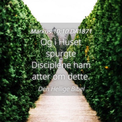 Picture 04 - Markus 10:10 DA1871 - Og i Huset spurgte Disciplene ham atter om - Bible Verse Picture