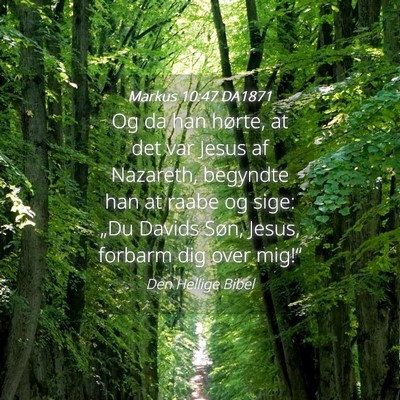 Picture 04 - Markus 10:47 DA1871 - Og da han hørte, at det var Jesus af Nazareth, - Bible Verse Picture