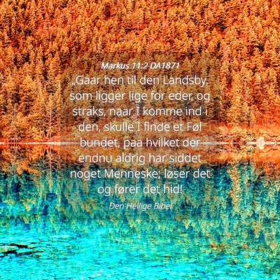 Picture 04 - Markus 11:2 DA1871 - „Gaar hen til den Landsby, som ligger lige for - Bible Verse Picture