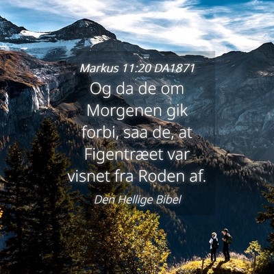 Picture 04 - Markus 11:20 DA1871 - Og da de om Morgenen gik forbi, saa de, at - Bible Verse Picture