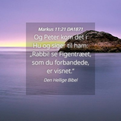 Picture 04 - Markus 11:21 DA1871 - Og Peter kom det i Hu og siger til ham: „Rabbi! - Bible Verse Picture