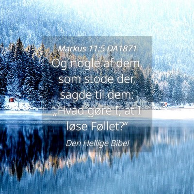 Picture 04 - Markus 11:5 DA1871 - Og nogle af dem, som stode der, sagde til dem: - Bible Verse Picture
