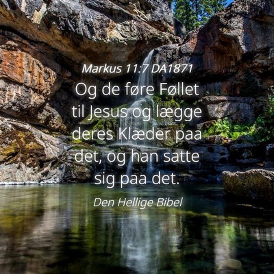 Picture 04 - Markus 11:7 DA1871 - Og de føre Føllet til Jesus og lægge deres - Bible Verse Picture