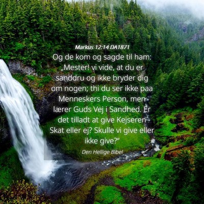 Picture 04 - Markus 12:14 DA1871 - Og de kom og sagde til ham: „Mester! vi vide, - Bible Verse Picture