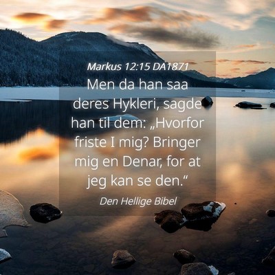 Picture 04 - Markus 12:15 DA1871 - Men da han saa deres Hykleri, sagde han til dem: - Bible Verse Picture