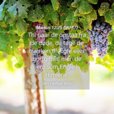 Picture 04 - Markus 12:25 DA1871 - Thi naar de opstaa fra de døde, da tage de - Bible Verse Picture