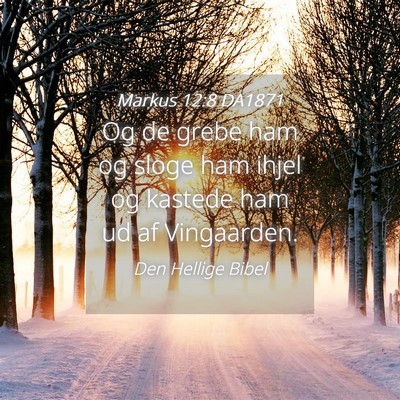 Picture 04 - Markus 12:8 DA1871 - Og de grebe ham og sloge ham ihjel og kastede ham - Bible Verse Picture