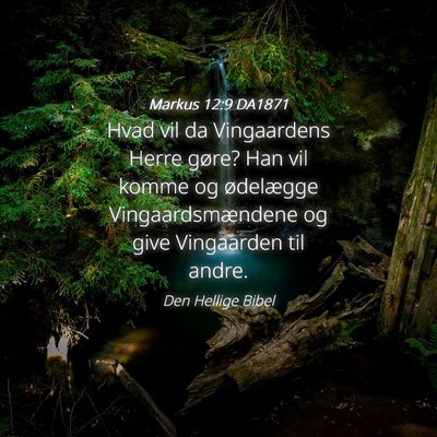Picture 04 - Markus 12:9 DA1871 - Hvad vil da Vingaardens Herre gøre? Han vil - Bible Verse Picture