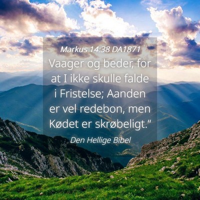 Picture 04 - Markus 14:38 DA1871 - Vaager og beder, for at I ikke skulle falde i - Bible Verse Picture