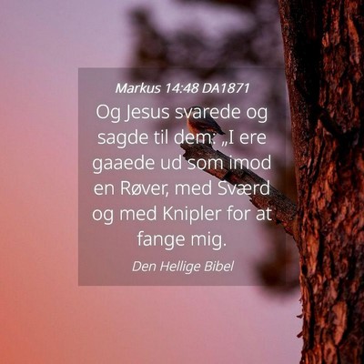 Picture 04 - Markus 14:48 DA1871 - Og Jesus svarede og sagde til dem: „I ere - Bible Verse Picture