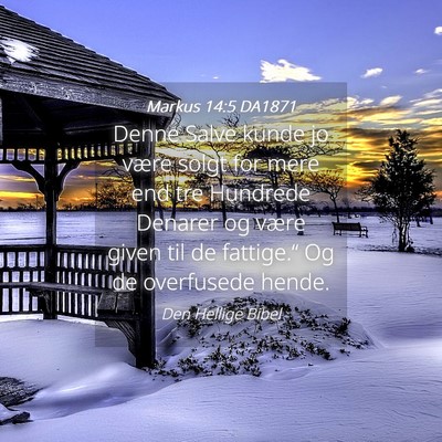 Picture 04 - Markus 14:5 DA1871 - Denne Salve kunde jo være solgt for mere end tre - Bible Verse Picture