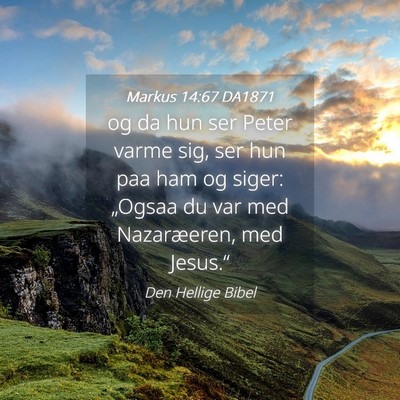 Picture 04 - Markus 14:67 DA1871 - og da hun ser Peter varme sig, ser hun paa ham og - Bible Verse Picture