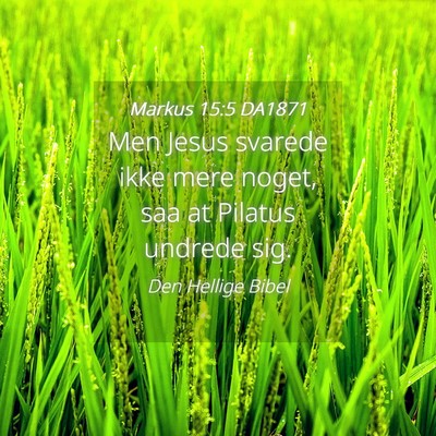 Picture 04 - Markus 15:5 DA1871 - Men Jesus svarede ikke mere noget, saa at Pilatus - Bible Verse Picture