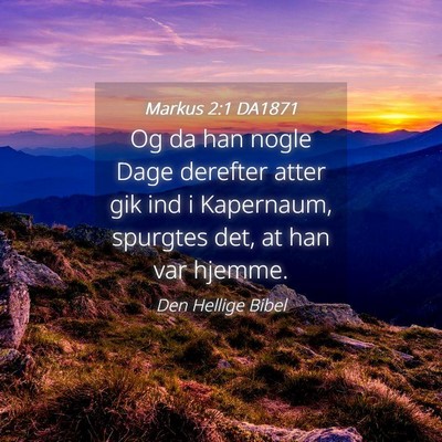 Picture 04 - Markus 2:1 DA1871 - Og da han nogle Dage derefter atter gik ind i - Bible Verse Picture