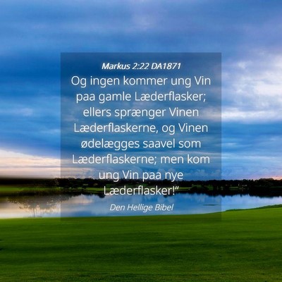 Picture 04 - Markus 2:22 DA1871 - Og ingen kommer ung Vin paa gamle Læderflasker; - Bible Verse Picture