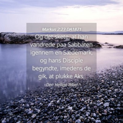 Picture 04 - Markus 2:23 DA1871 - Og det skete, at han vandrede paa Sabbaten - Bible Verse Picture