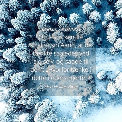 Picture 04 - Markus 2:8 DA1871 - Og Jesus kendte straks i sin Aand, at de tænkte - Bible Verse Picture