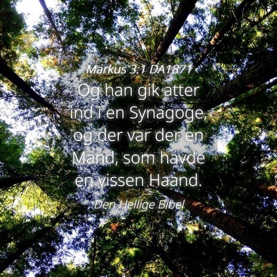 Picture 04 - Markus 3:1 DA1871 - Og han gik atter ind i en Synagoge, og der var - Bible Verse Picture