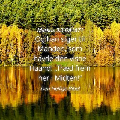 Picture 04 - Markus 3:3 DA1871 - Og han siger til Manden, som havde den visne - Bible Verse Picture