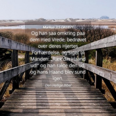 Picture 04 - Markus 3:5 DA1871 - Og han saa omkring paa dem med Vrede, bedrøvet - Bible Verse Picture
