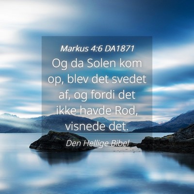 Picture 04 - Markus 4:6 DA1871 - Og da Solen kom op, blev det svedet af, og fordi - Bible Verse Picture