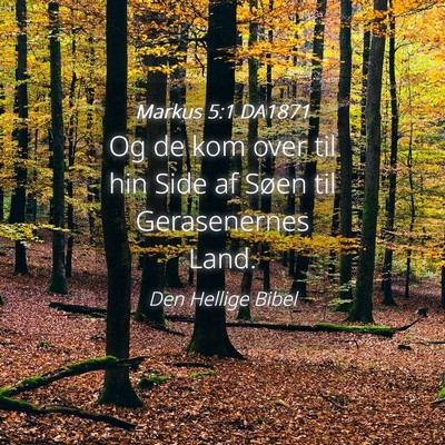 Picture 04 - Markus 5:1 DA1871 - Og de kom over til hin Side af Søen til - Bible Verse Picture