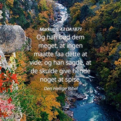 Picture 04 - Markus 5:43 DA1871 - Og han bød dem meget, at ingen maatte faa dette - Bible Verse Picture