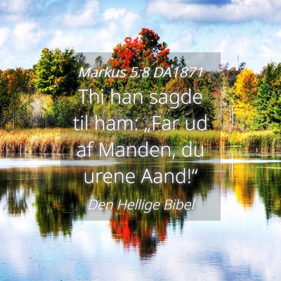 Picture 04 - Markus 5:8 DA1871 - Thi han sagde til ham: „Far ud af Manden, du - Bible Verse Picture