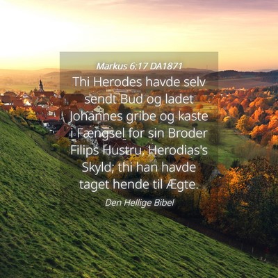 Picture 04 - Markus 6:17 DA1871 - Thi Herodes havde selv sendt Bud og ladet - Bible Verse Picture