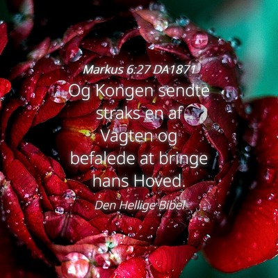 Picture 04 - Markus 6:27 DA1871 - Og Kongen sendte straks en af Vagten og befalede - Bible Verse Picture