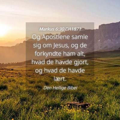 Picture 04 - Markus 6:30 DA1871 - Og Apostlene samle sig om Jesus, og de forkyndte - Bible Verse Picture