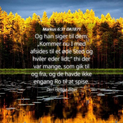 Picture 04 - Markus 6:31 DA1871 - Og han siger til dem: „Kommer nu I med afsides - Bible Verse Picture
