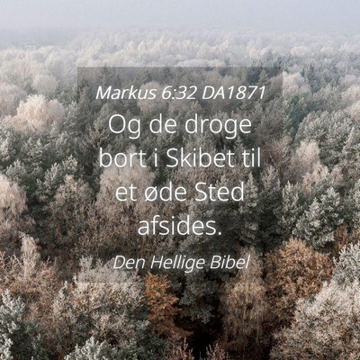 Picture 04 - Markus 6:32 DA1871 - Og de droge bort i Skibet til et øde Sted - Bible Verse Picture