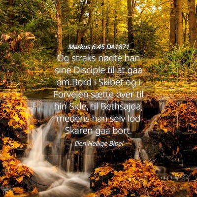 Picture 04 - Markus 6:45 DA1871 - Og straks nødte han sine Disciple til at gaa om - Bible Verse Picture