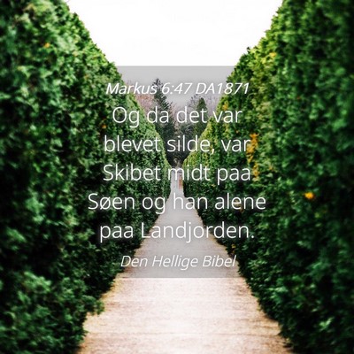 Picture 04 - Markus 6:47 DA1871 - Og da det var blevet silde, var Skibet midt paa - Bible Verse Picture