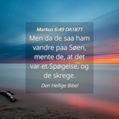Picture 04 - Markus 6:49 DA1871 - Men da de saa ham vandre paa Søen, mente de, at - Bible Verse Picture