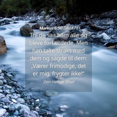 Picture 04 - Markus 6:50 DA1871 - Thi de saa ham alle og bleve forfærdede. Men han - Bible Verse Picture