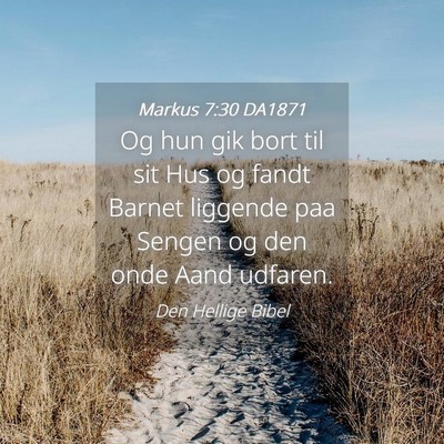 Picture 04 - Markus 7:30 DA1871 - Og hun gik bort til sit Hus og fandt Barnet - Bible Verse Picture